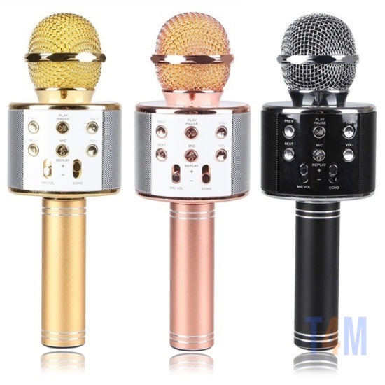 WS-858 WIRELESS MICROPHONE AND STEREO USB BLUETOOTH